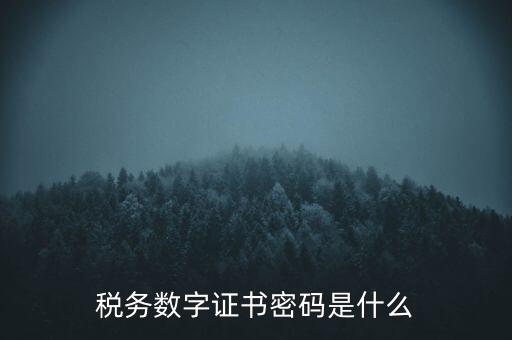 輸入稅務(wù)數(shù)字證書密碼是什么，稅務(wù)數(shù)字證書密碼是什么