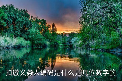 扣繳義務人編碼是什么是幾位數字的