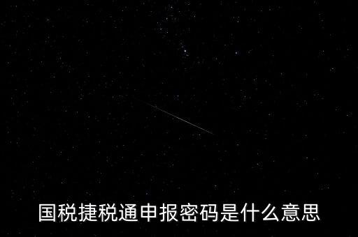 稅務(wù)軟件申報(bào)密碼是什么意思，納稅申報(bào)密碼是什么