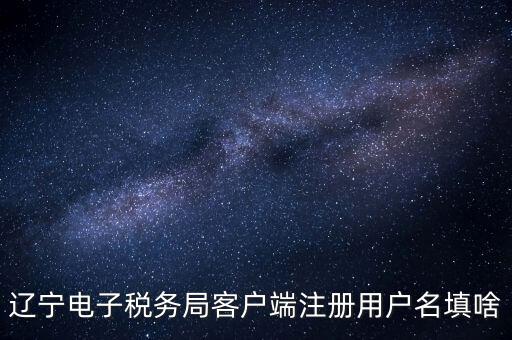 遼寧省網(wǎng)上稅務(wù)局登錄需要什么，遼寧電子稅務(wù)局客戶端注冊用戶名填啥