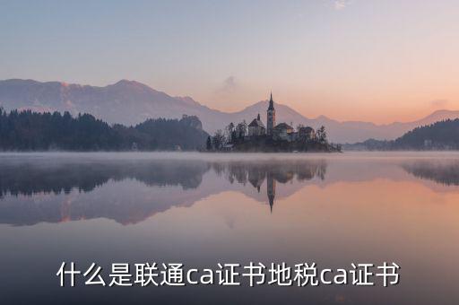 什么是地稅ca證書，社保CA地稅CA