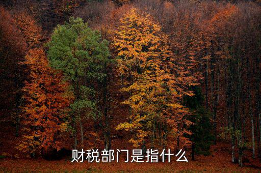 財稅征收保障網(wǎng)是什么，財稅部門是指什么