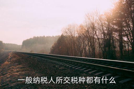 什么是納稅人稅種，一般納稅人所交稅種都有什么