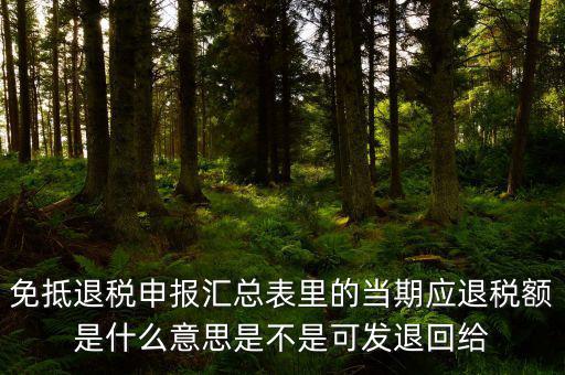 免抵退貨物應(yīng)退稅額是什么意思，免抵退應(yīng)退稅額是什么意思
