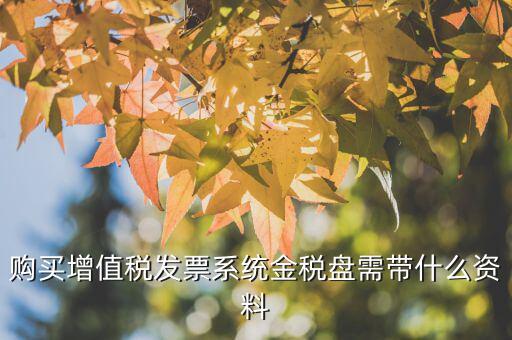 上海買金稅卡帶什么，金稅卡發(fā)行時需要帶哪些東西