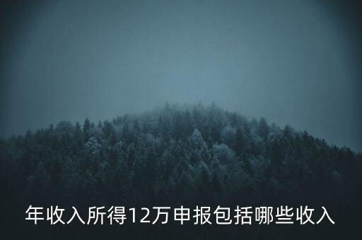 十二萬(wàn)申報(bào)是什么，12萬(wàn)個(gè)稅申報(bào)有什么用