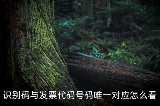 發(fā)票查詢識(shí)別碼是什么，識(shí)別碼與發(fā)票代碼號(hào)碼唯一對應(yīng)怎么看