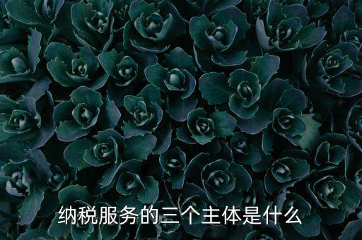 納稅服務(wù) 是什么，納稅服務(wù)的三個(gè)主體是什么