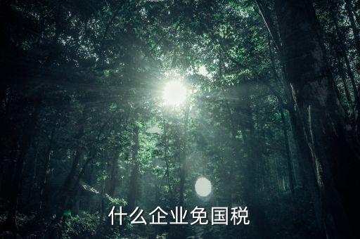 什么公司是免稅的，現(xiàn)在都有哪些行業(yè)免稅了