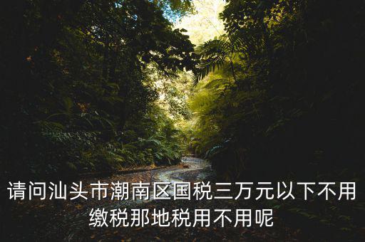 國(guó)稅3萬元不到地稅要交什么稅，請(qǐng)問汕頭市潮南區(qū)國(guó)稅三萬元以下不用繳稅那地稅用不用呢