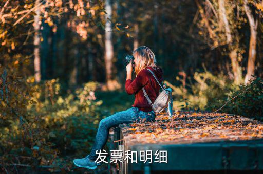 發(fā)票中的明細(xì)是什么意思，發(fā)票的明細(xì)條數(shù)控制在2000條是什么意思