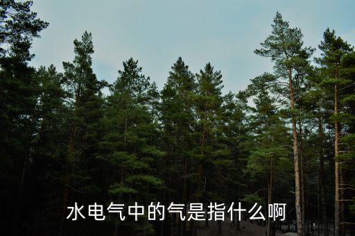 水電氣退稅氣指什么，公租房的水電氣的氣是指什么