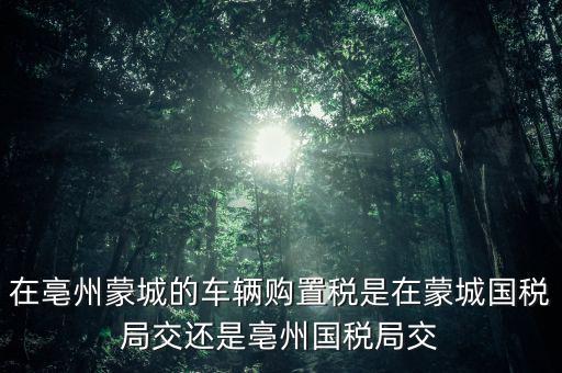 國稅局掛牌是什么意思，濮陽摩托辦照