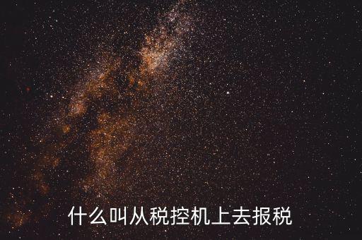 什么是稅控機的即時申報，稅控機申報記錄甚么意思