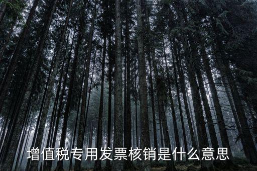 發(fā)票管家是什么，發(fā)票開票系統(tǒng)KEY是什么