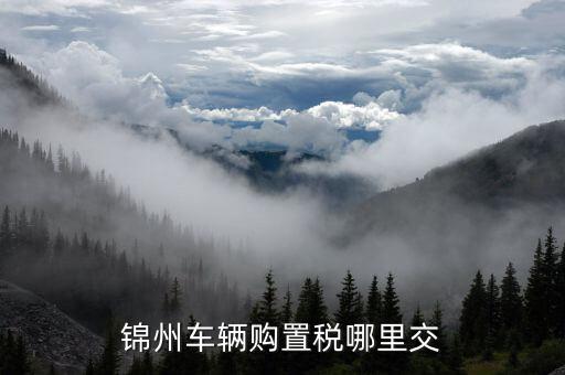 錦州國稅局車輛購置部門是什么，錦州機動車購置稅在哪里交
