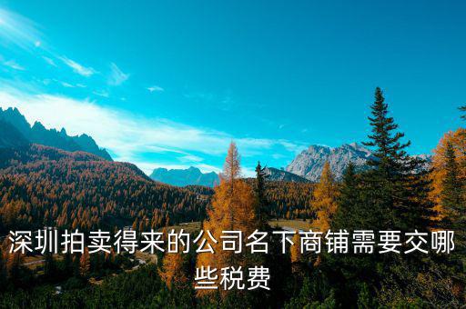 拍賣公司交什么稅，拍賣公司取得的傭金收入2000交哪些稅