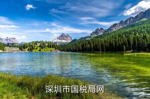 深圳國(guó)稅的網(wǎng)址是什么，深圳市國(guó)稅局網(wǎng)