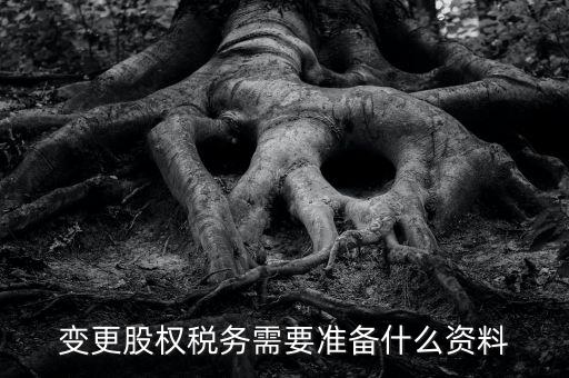 股權變更完稅憑證需要什么資料，變更股權稅務需要準備什么資料