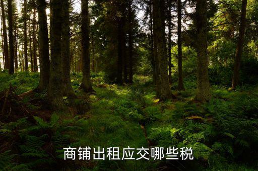 門(mén)面租賃稅是什么，商鋪出租應(yīng)交哪些稅