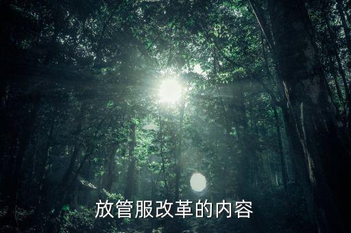 稅務放管服的內(nèi)容是什么，放管服改革的內(nèi)容