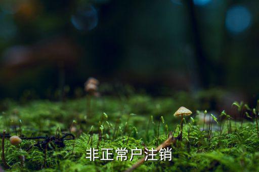 非正常戶個(gè)稅注銷需要什么，非正常戶注銷