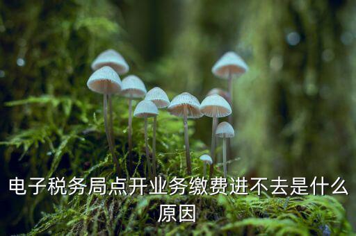 為什么江蘇省電子稅務(wù)局進(jìn)不去，請問電子稅務(wù)局登不上去怎么回事