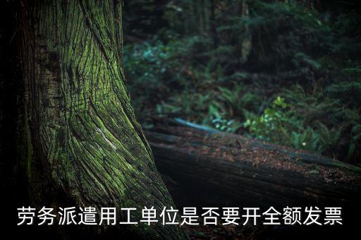 勞務派遣開什么票，勞務派遣小時工發(fā)票怎么開