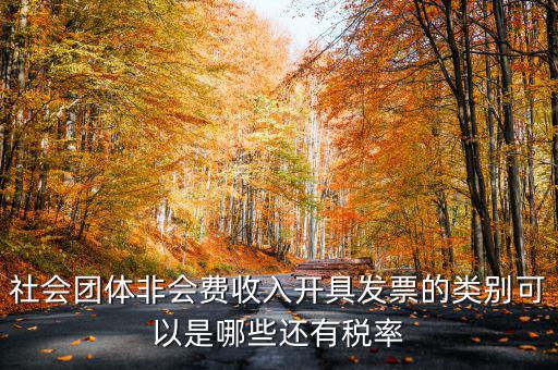 社會團(tuán)體非會費收入開具發(fā)票的類別可以是哪些還有稅率