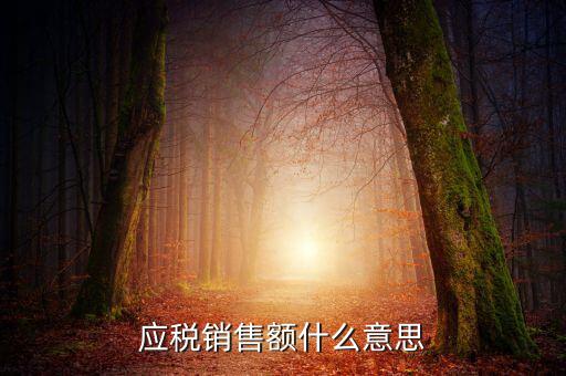 稅務(wù)銷售額是什么意思，年應(yīng)稅銷售額是什么意思