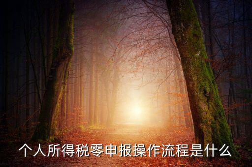 扣繳稅款登記主要流程是什么，納稅流程是怎樣的