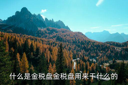 金稅盤是做什么用的，什么是金稅盤金稅盤用來干什么的