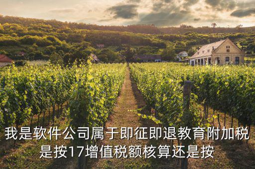 軟件企業(yè)交什么稅，軟件企業(yè)增值稅即征即退指的是什么