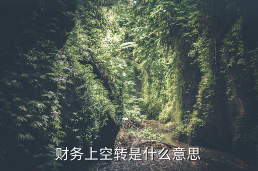 財務上空轉(zhuǎn)是什么意思