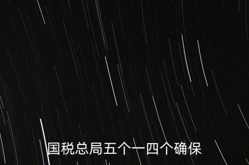 稅務(wù)局五個一是什么時候，國稅總局五個一四個確保