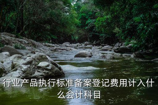 備案費(fèi)入什么科目，行業(yè)產(chǎn)品執(zhí)行標(biāo)準(zhǔn)備案登記費(fèi)用計(jì)入什么會(huì)計(jì)科目