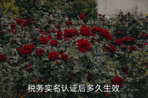 稅務(wù)實名認(rèn)證后多久生效