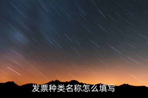 發(fā)票票種是填什么，發(fā)票類型號(hào)是什么啊