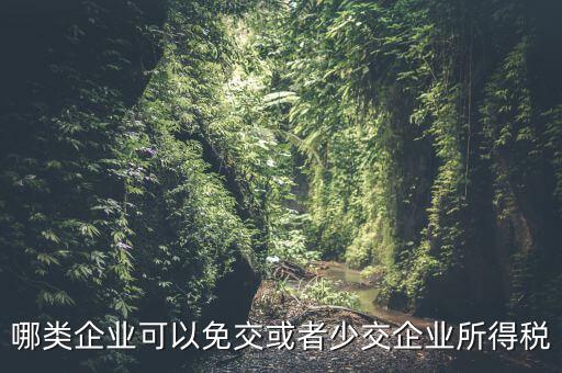 什么情況下企業(yè)可以減免稅收，哪類企業(yè)可以免交或者少交企業(yè)所得稅
