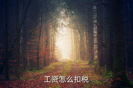 員工工資中的稅是按什么扣的，工資怎么扣稅