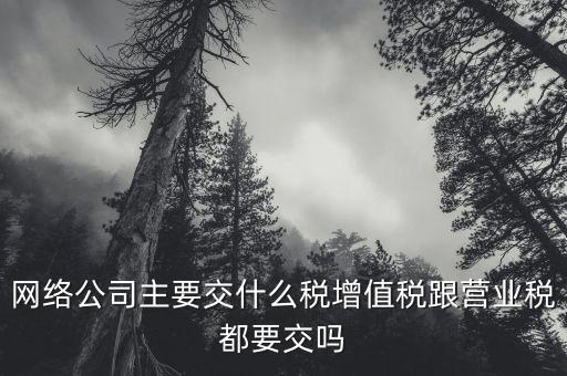 互聯(lián)網(wǎng)企業(yè)交什么稅，互聯(lián)網(wǎng)公司在稅收上有何政策