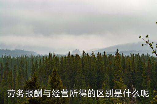 什么是經(jīng)營所得，個體工商戶的生產(chǎn)經(jīng)營所得是指什么