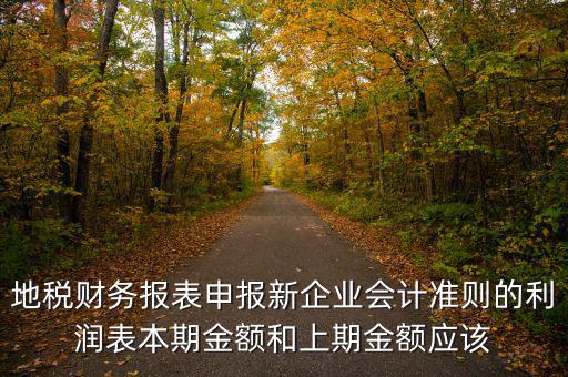 地稅利潤表的上期金額指什么，新會計制度下利潤表中本期金額和上期金額是什么意思