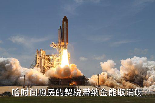 契稅什么時候扣掉，國稅和地稅繳稅期限是什么時候
