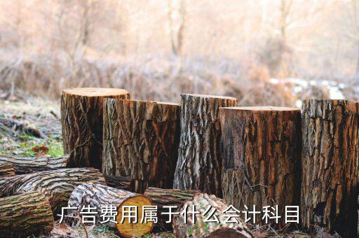 廣告宣傳費(fèi)屬于什么費(fèi)用，宣傳費(fèi)計(jì)入什么科目