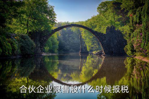 限售股轉(zhuǎn)讓所得什么時候報，合伙企業(yè)限售股什么時候報稅