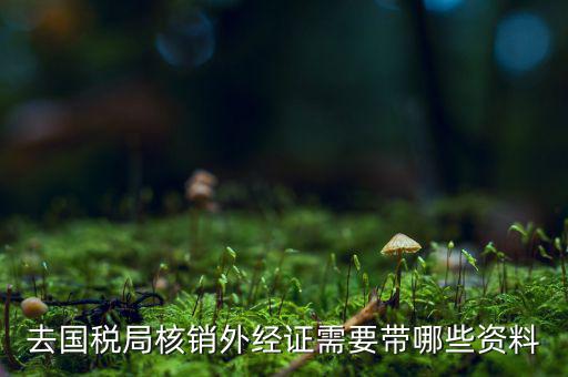 核銷外經(jīng)證地稅那做什么，去國稅局核銷外經(jīng)證需要帶哪些資料