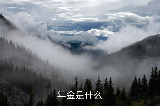 金稅三期里的年金是指什么，年金是什么