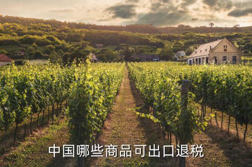 什么貨物出口可以退稅，中國哪些商品可出口退稅