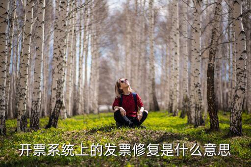 發(fā)票修復(fù)是什么意思，開票系統(tǒng)上的發(fā)票修復(fù)是什么意思